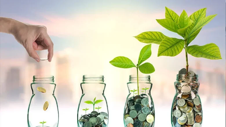 Growth Investing in Modern Markets